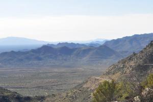 Cottonwood Canyon Run