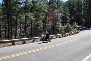 Cottonwood Canyon Run