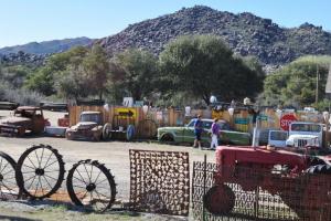 Cottonwood Canyon Run