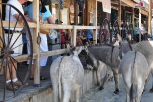 Old Route 66 South of Kingman