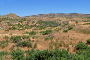 Rangely to Blue Mountain on CR 1