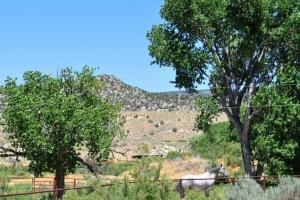 Rangely to Blue Mountain on CR 1