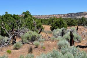 Dinosaur National Monument Canyons