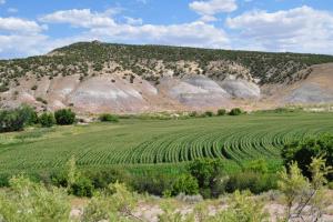 Diamond Mountain Road - Jensen to Jones Hole