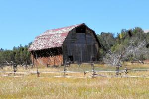 The Black Canyon Run