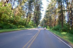 Allyn to Spirit Lake Highway (Avoids I-5)