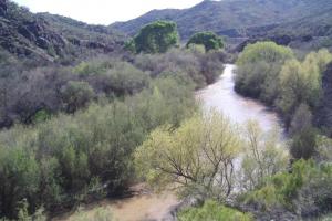 Superior, Winkleman, Globe triangle