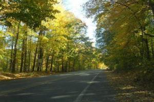 Edward Hines Drive from 7 mile to Ford Road