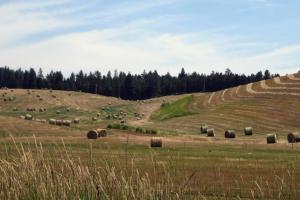 The "Blow You Away" Idaho-Tour