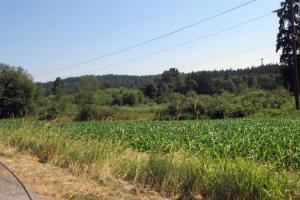 Hwy 203 - the Hidden Shortcut