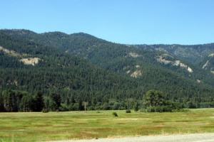 Highway 20 Washington Pass