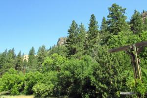 Highway 20 Washington Pass