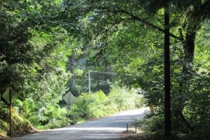 Vernonia - Astoria back roads; highway 47 & 202