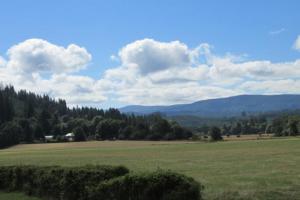 Vernonia - Astoria back roads; highway 47 & 202