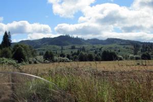 Vernonia - Astoria back roads; highway 47 & 202