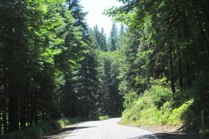 Vernonia - Astoria back roads; highway 47 & 202