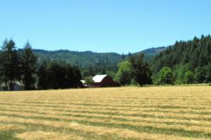 Vernonia - Astoria back roads; highway 47 & 202