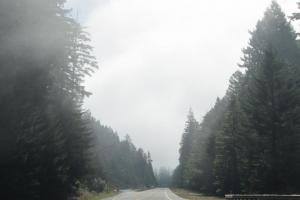 Hwy 299 from the coast to Redding, CA