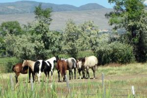 Hotchkiss to Carbondale on Hwy 133