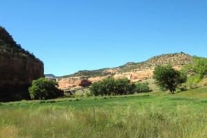 Unaweep Tabeguache Scenic Road - CO 141