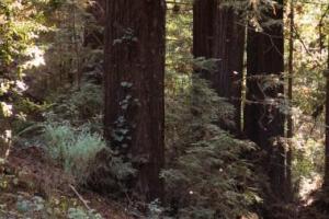 Castro Valley to Berkeley