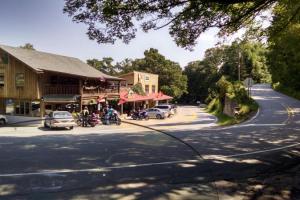 Diamond Back Loop (226 & 226A)