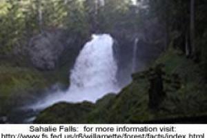 Aufderheide Memorial Drive