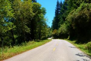 Mattole Road