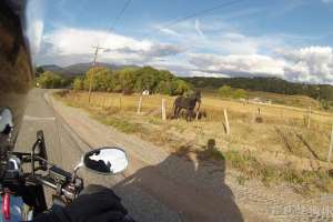High Road to Taos Scenic Byway