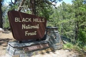 16 A to and thru Custer State Park