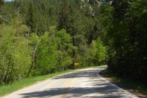 16 A to and thru Custer State Park