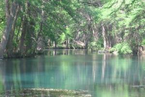 The Three Sisters (AKA The Twisted Sisters)- Ranch Roads 335, 336,337a
