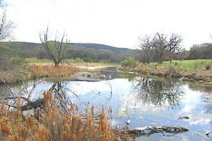 The Three Sisters (AKA The Twisted Sisters)- Ranch Roads 335, 336,337a