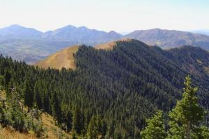 Mt. Nebo Loop Road Run