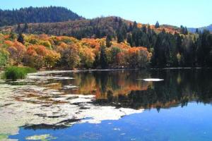 Mt. Nebo Loop Road Run