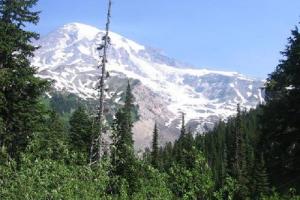 Mt Rainer Ramble