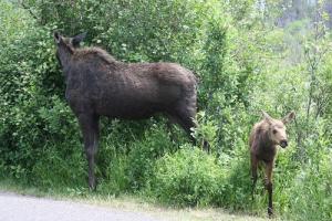 From Casper into the Heart of the Tetons