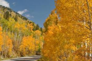 Independence Pass (State Route 82)