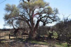 Bagdad to Iron Springs