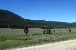Ashley National Forest to Flaming Gorge National Recreation Area