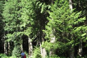 Lewiston to Missoula on US Hwy 12