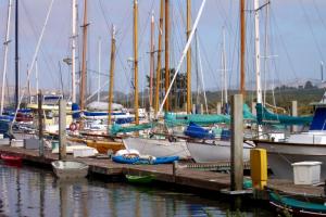 Pacific Coast Cruise; Hwy 1