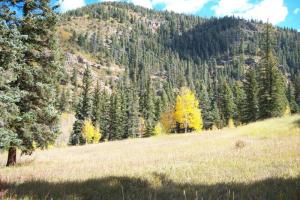 Northern-Central NM Loop