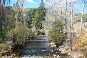Northern-Central NM Loop