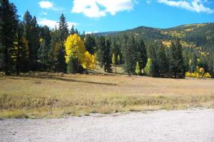 Northern-Central NM Loop