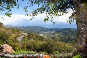 The Famous Rock Store Run (Mulholland Highway)