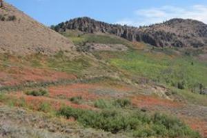 Reno to Lake Tahoe Loop