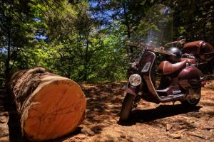 Pescadero to Alice's