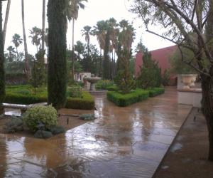 When you are Soutbound in Southern Arizona  |  Arizona