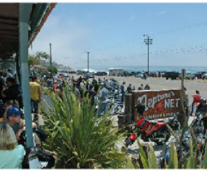 Neptune's Net |  California